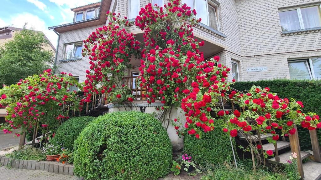 Κήπος έξω από το Ersita