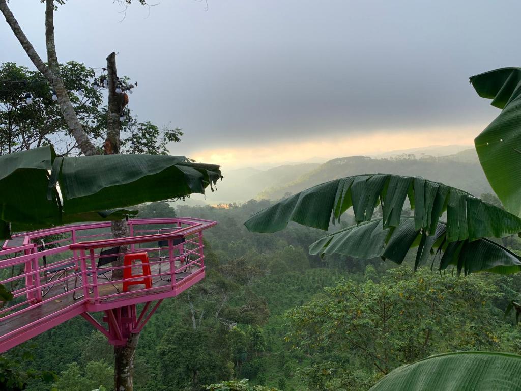 Chân Mây Homestay Măng Đen, Kon Von Kla (giá cập nhật 2025)
