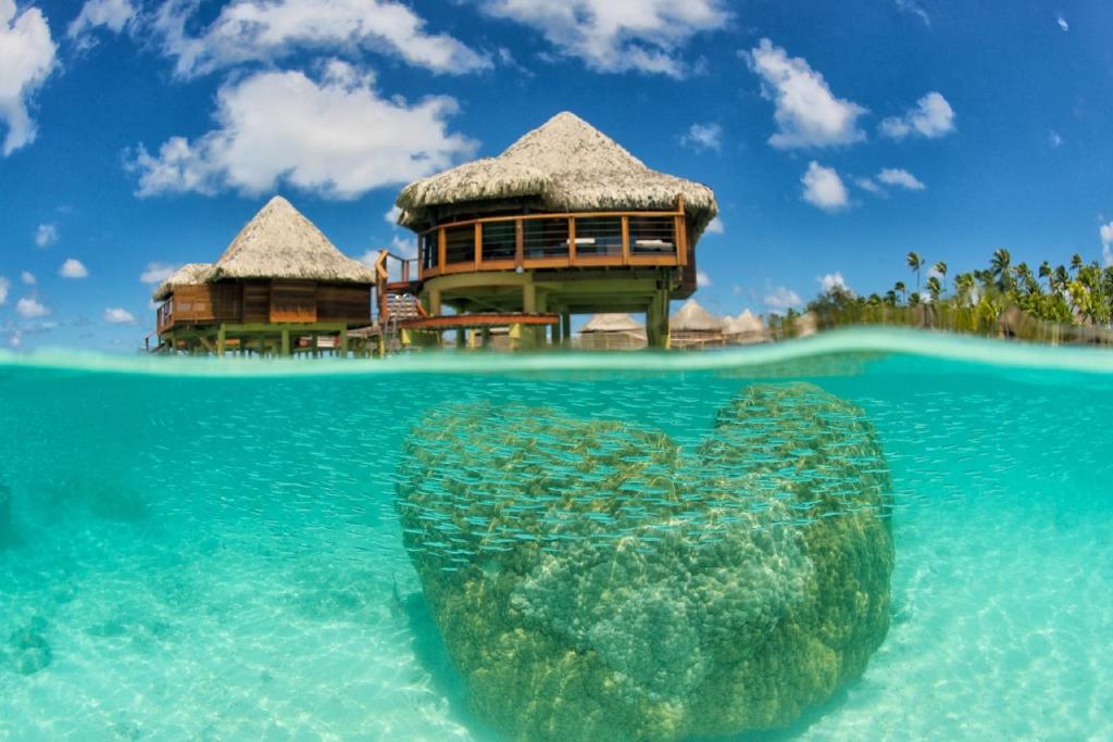 Hotel Kia Ora Resort & Spa, Avatoru - photo 7 - Rangiroa, Polynésie