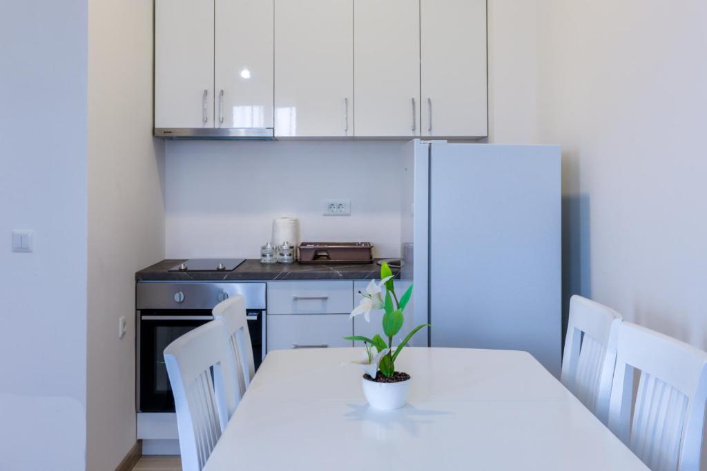 Kuhinja ili čajna kuhinja u objektu Trea Apartment