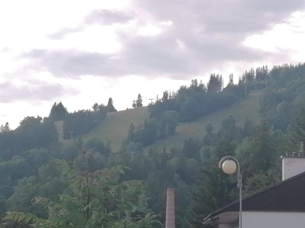 Příroda nedaleko prázdninového domu