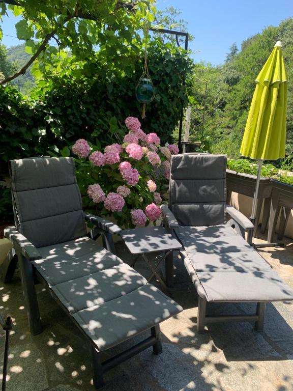 Zahrada ubytování Petit coin de paradis