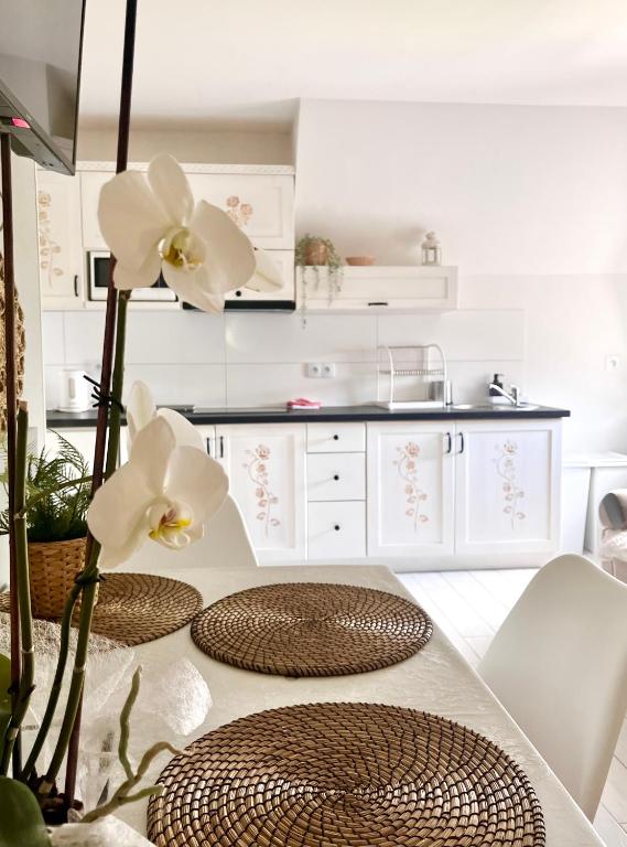 Willa Kosówka - Apartamenty i pokoje - 19