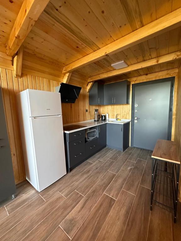 Kuchyň nebo kuchyňský kout v ubytování Aurora Suit Bungalov