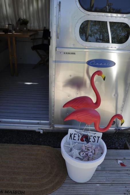 Fotografie z fotogalerie ubytování Airstream Retro USA caravan v destinaci Earnewâld
