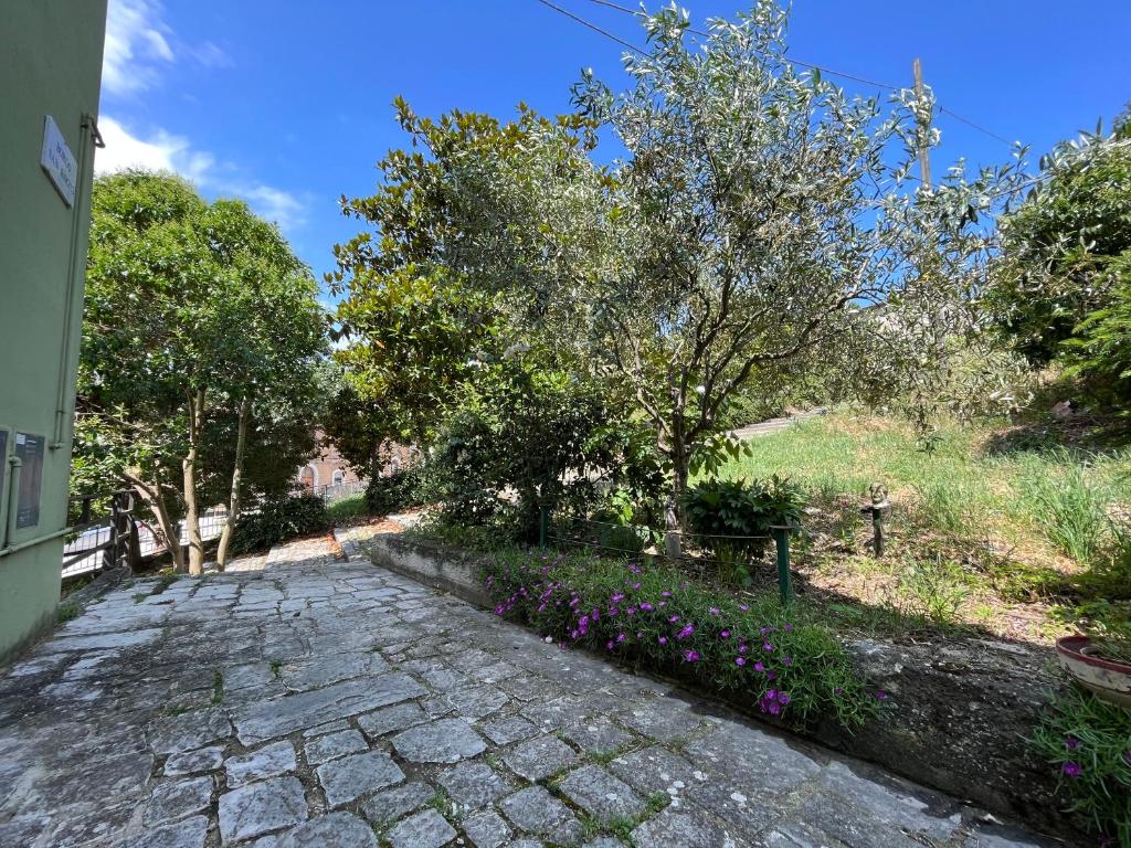 una pasarela de piedra con árboles y flores púrpuras en B&B Il Borgo en Matrice