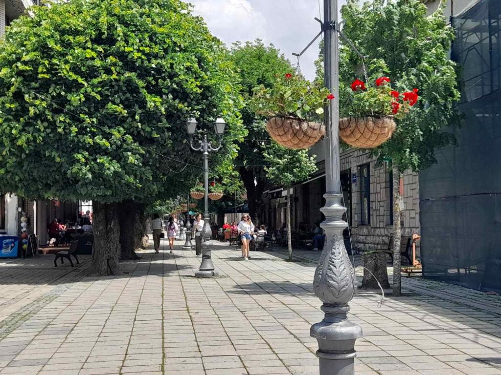 Un poste de la calle con dos cestas de flores. en Sibirska Central, en Kolašin