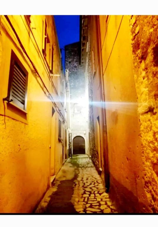 Alley Star, Norma (precios actualizados 2025)