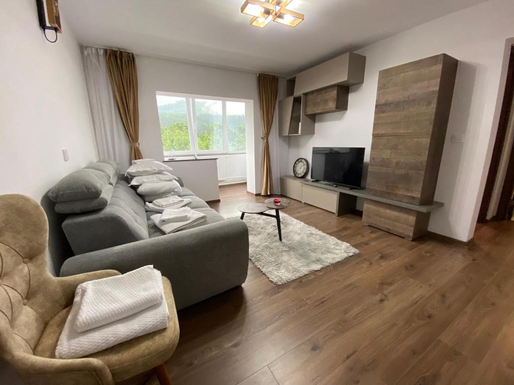 ein Wohnzimmer mit einem Sofa und einem TV in der Unterkunft Apartament Eve in Câmpulung Moldovenesc
