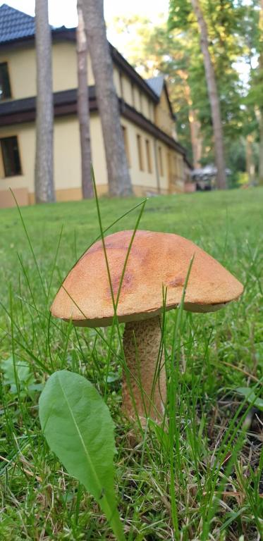 Zahrada ubytování Toscana Camp