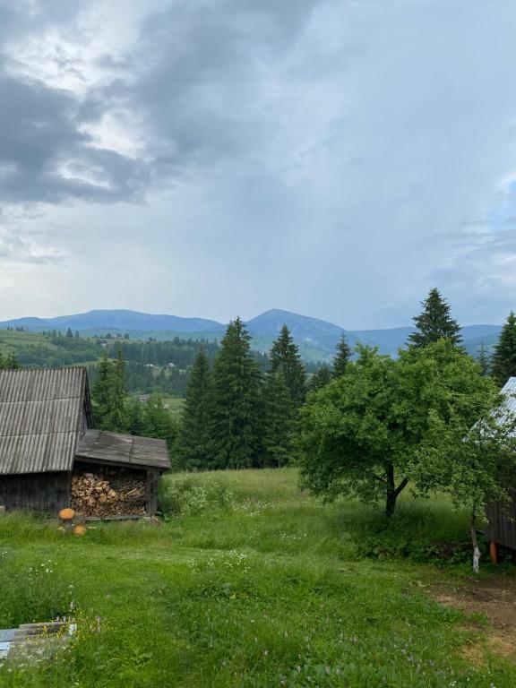 Příroda nedaleko penzionu