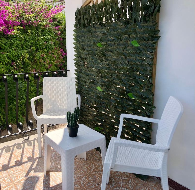 Vonkajšia záhrada v ubytovaní Villa Rosa Rooms