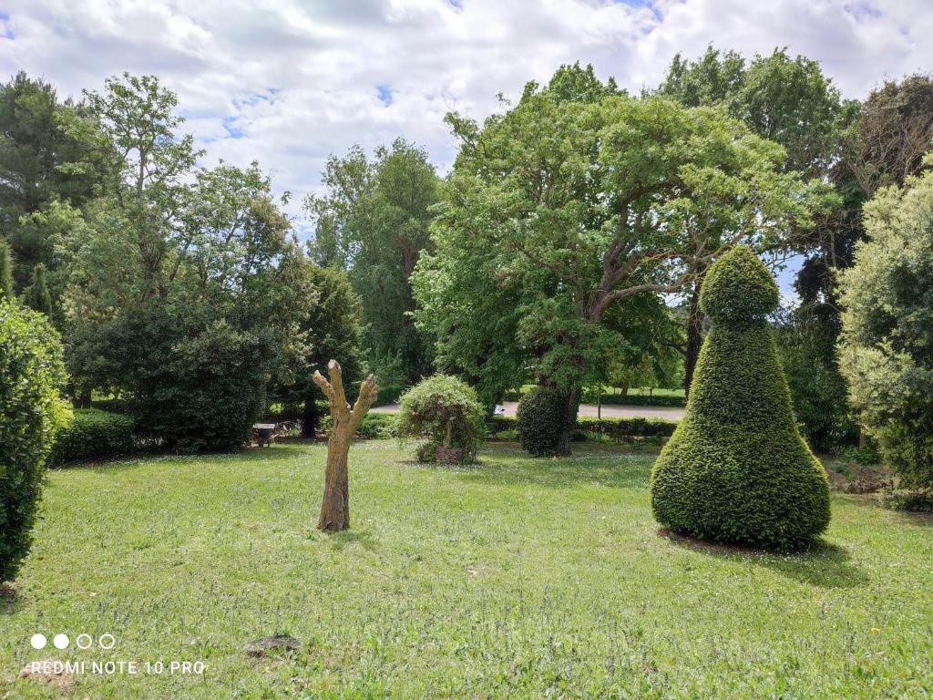 a large bush sculpture sitting in a grass field at Château Saint-Martin in Carcassonne