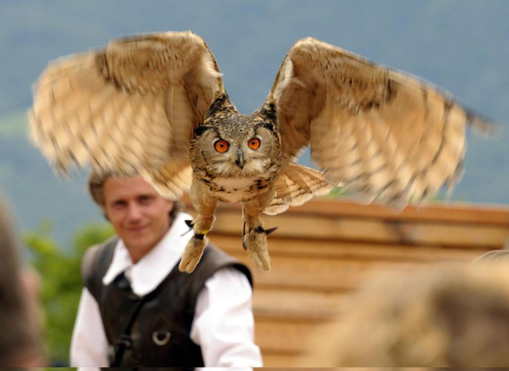 RELAX Camelia Apartment - Resim 24