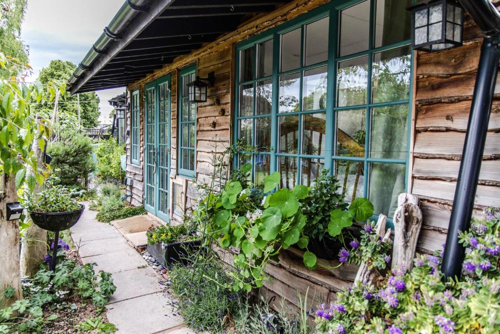 einen Garten vor einem Haus mit Blumen und Pflanzen in der Unterkunft Cozy Garden Studio in Williton