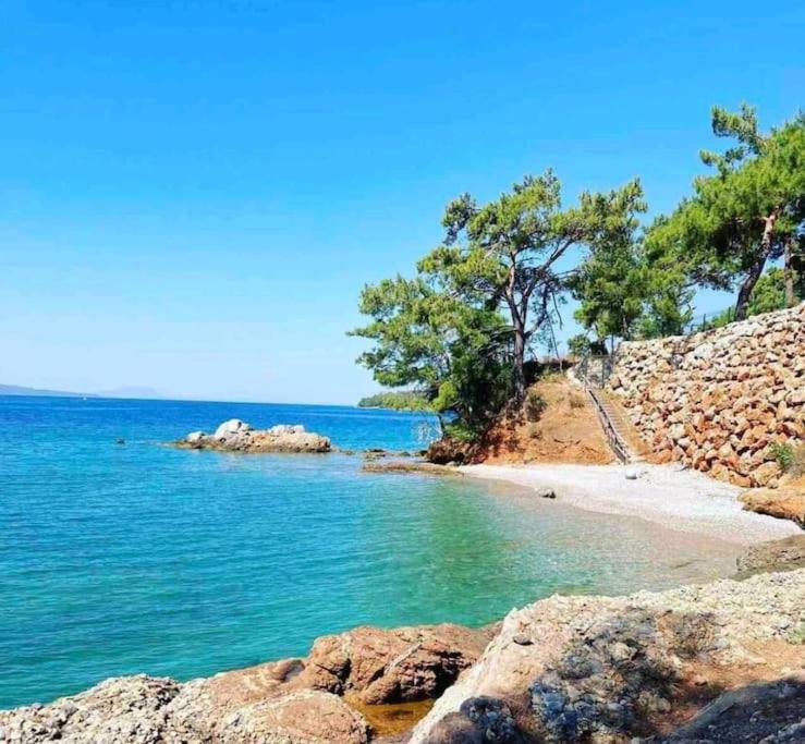 a beach with some rocks and trees and water at Akyaka Turnalı Kiralık Müstakil in Muğla