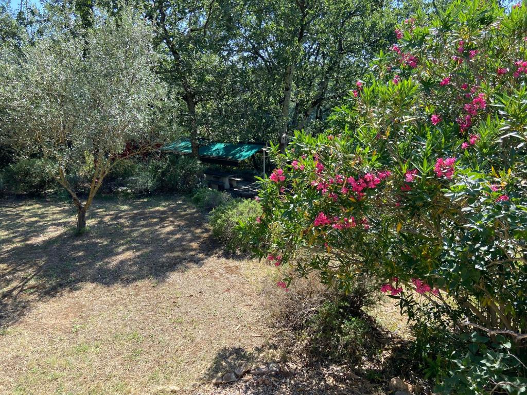 een tuin met roze bloemen en bomen bij La Magistrale in Lorgues