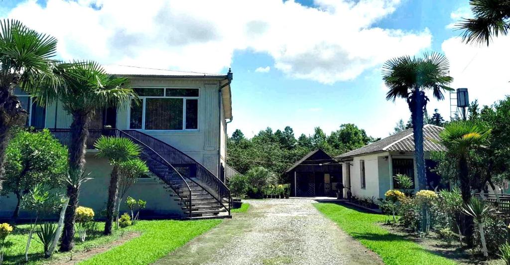 ein Haus mit Palmen und einer Auffahrt in der Unterkunft Ani's Green House in Anaklia
