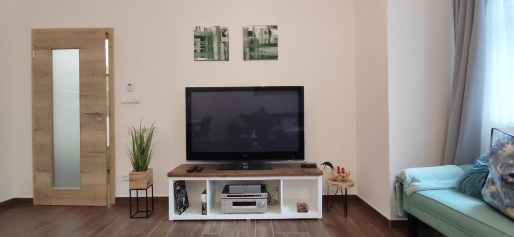 TV a/nebo společenská místnost v ubytování Nový apartmán v klidu Jizerek