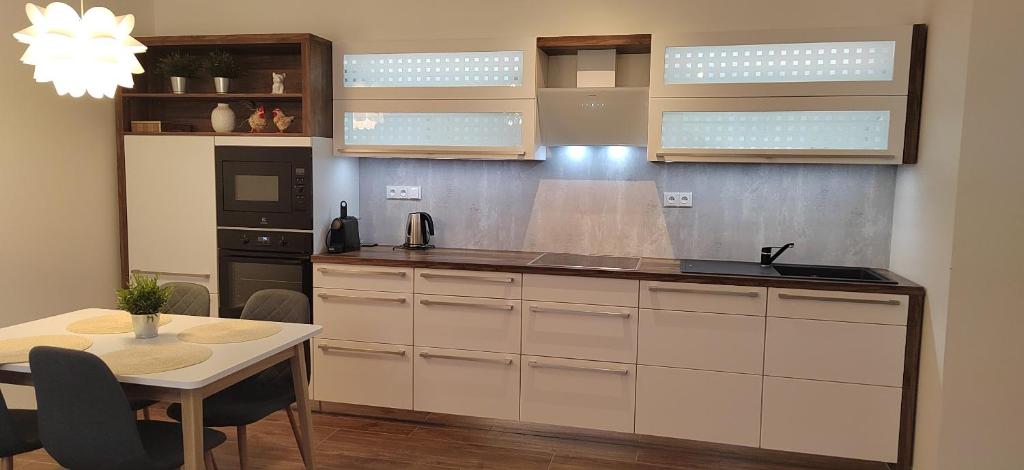 Kuchyň nebo kuchyňský kout v ubytování Nový apartmán v klidu Jizerek