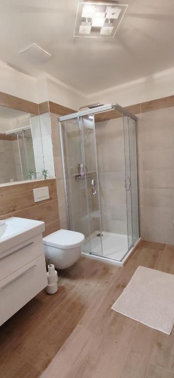 Koupelna v ubytování Nový apartmán v klidu Jizerek