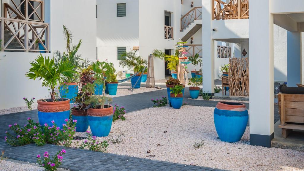 Zahrada ubytování Bloozz resort Bonaire