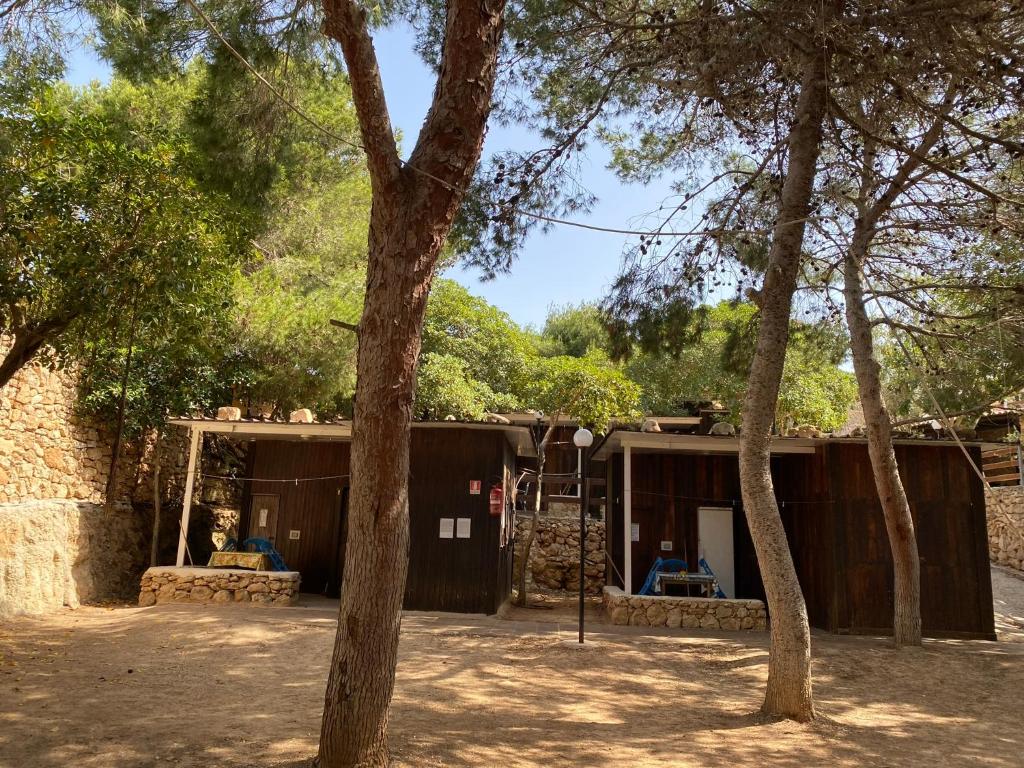 a building with trees in front of it at Villaggio La Roccia camping in Lampedusa