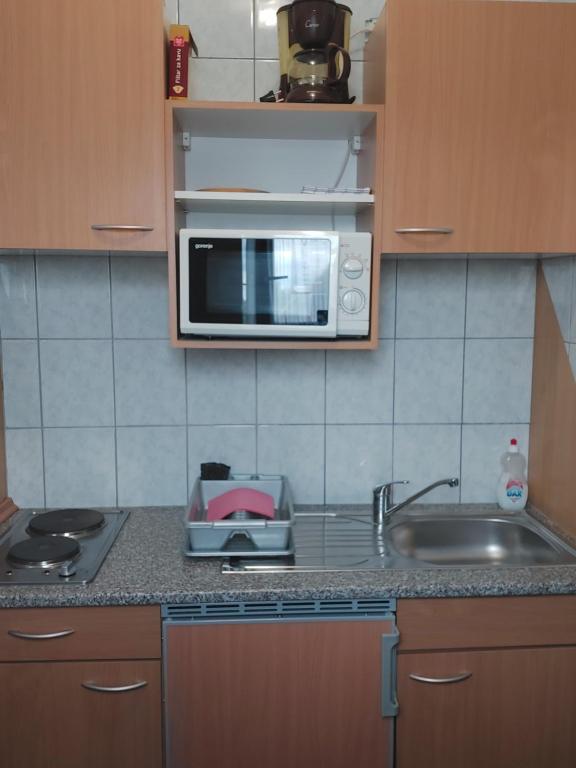 a kitchen with a sink and a microwave at house Anna in Plitvička Jezera