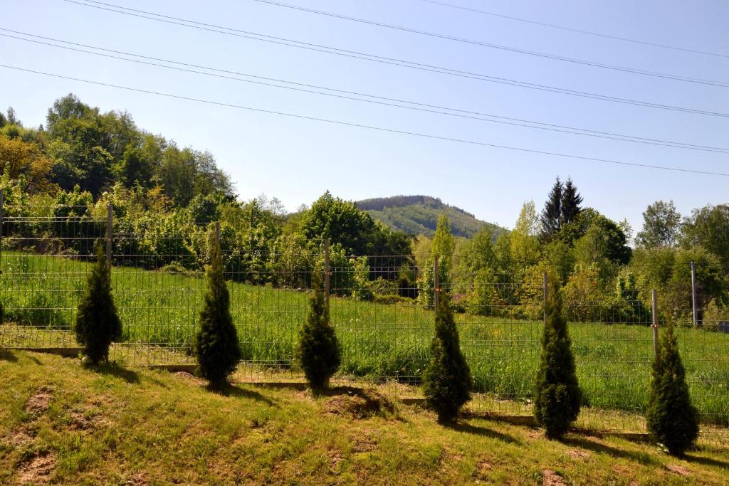 Príroda v okolí apartmánu
