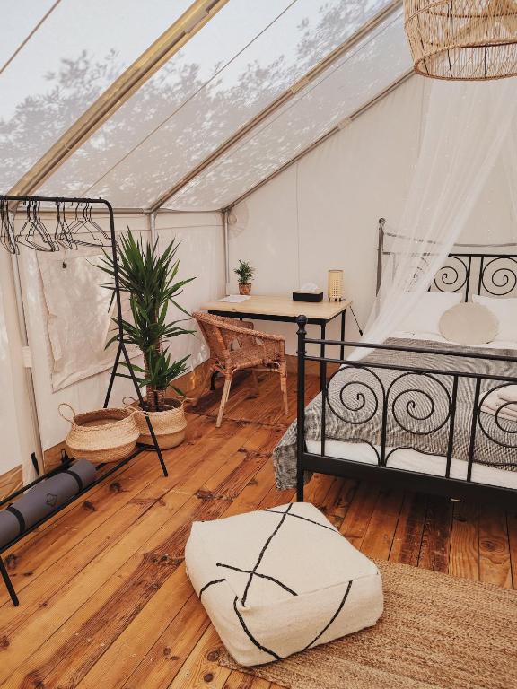 Tranquilo Glamping - テント