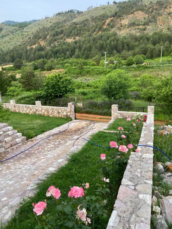 Musaj Mountain Villa - Image 9