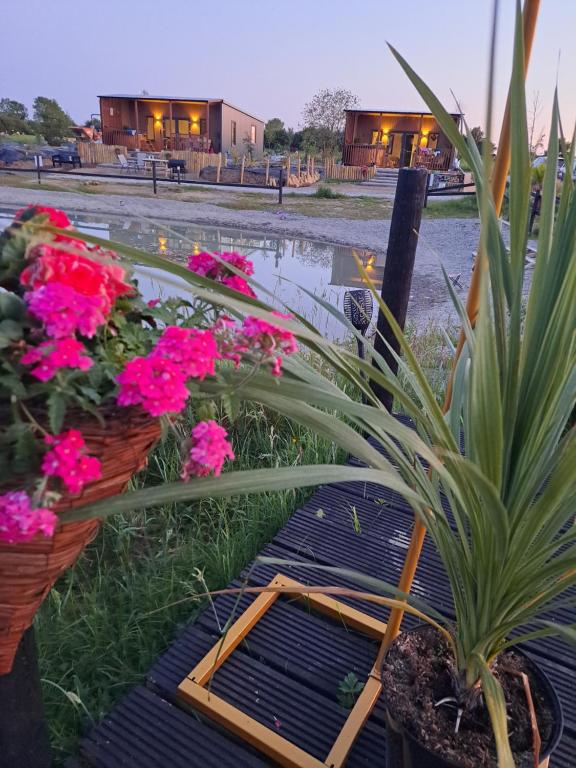 a plant sitting on a bench next to some flowers at Pond Beach Oak residence 