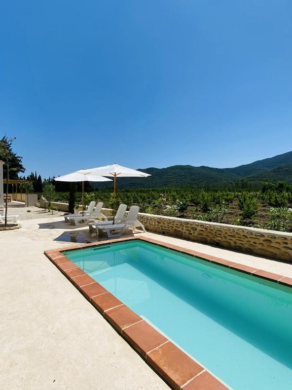 une piscine avec des chaises et un parasol dans l'établissement Mas Gomez Bolfa, à Bouleternère