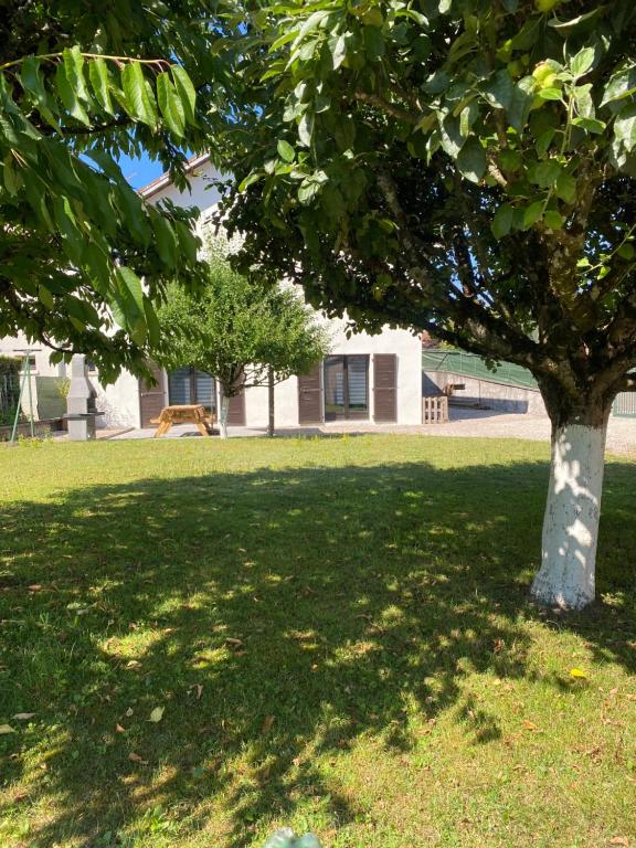 un árbol en medio de un campo de hierba en Maison chaleureuse au cœur du village Raddon, en Raddon-et-Chapendu