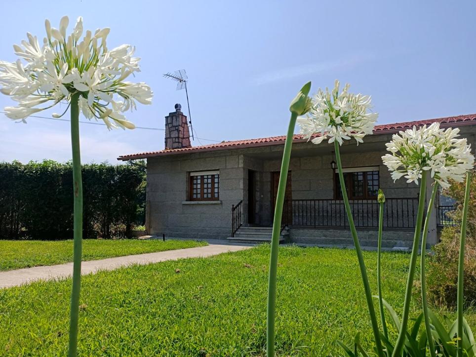 two white flowers in front of a house at Lar a de Luis in Ribadumia