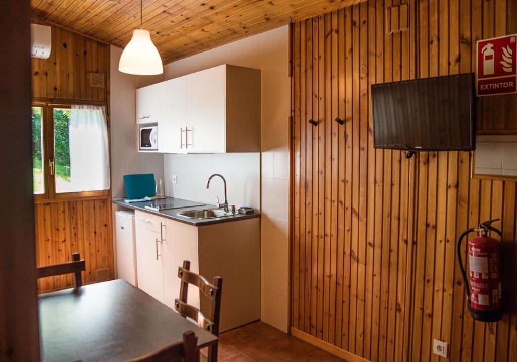 Kuchyňa alebo kuchynka v ubytovaní Gaztainuzketa Mendi Etxeak
