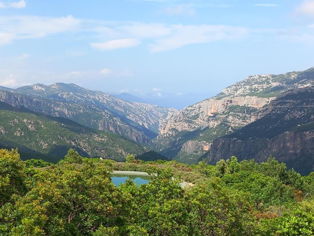 Glamping tent nel Supramonte - Housity