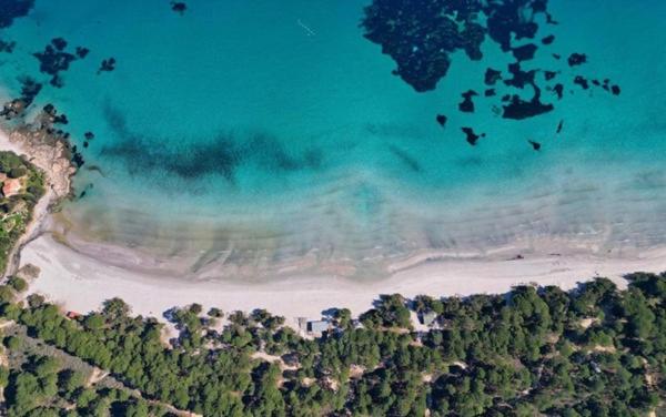 un groupe d’oiseaux volant au-dessus d’une plage dans l'établissement Maison Pinarellu plage à pieds, à Zonza