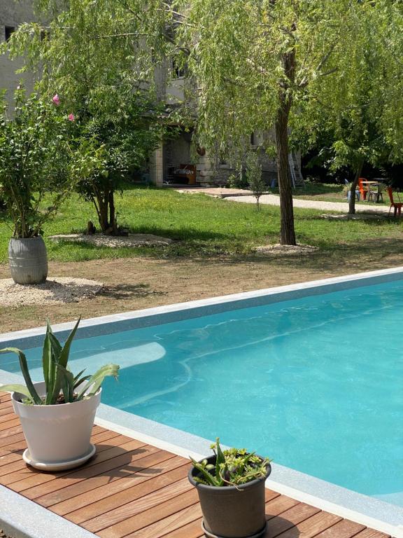 Piscina en o cerca de Appartement Les Cypr&egrave;s de l&rsquo;&Icirc;le