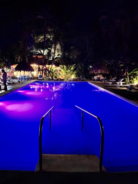 Bazén v ubytování Atlantida Lodge Cahuita nebo v jeho okolí