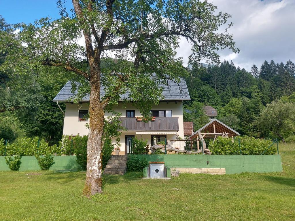 une maison avec un arbre en face dans l'établissement Apartmaji Katrč, à Vallée de la Soča