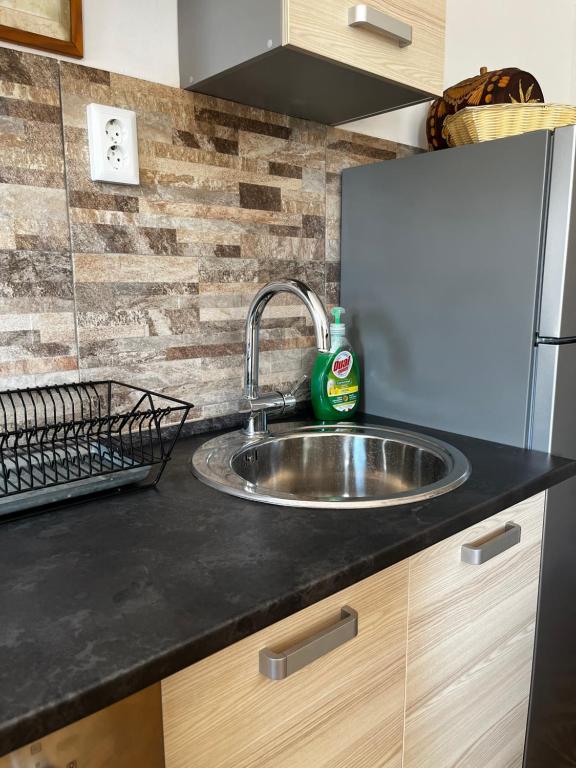Kuchyň nebo kuchyňský kout v ubytování Holiday Home Erika