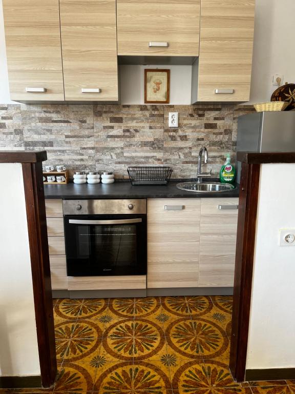 Kuchyň nebo kuchyňský kout v ubytování Holiday Home Erika