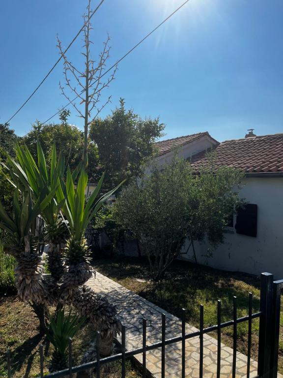 Příroda nedaleko apartmánu