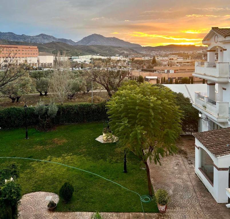 a view of a yard with a tree at Los Dólmenes in Antequera