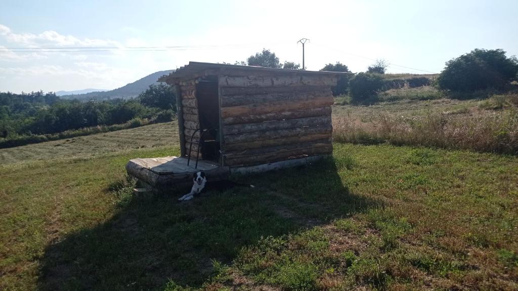 Příroda nedaleko penzionu