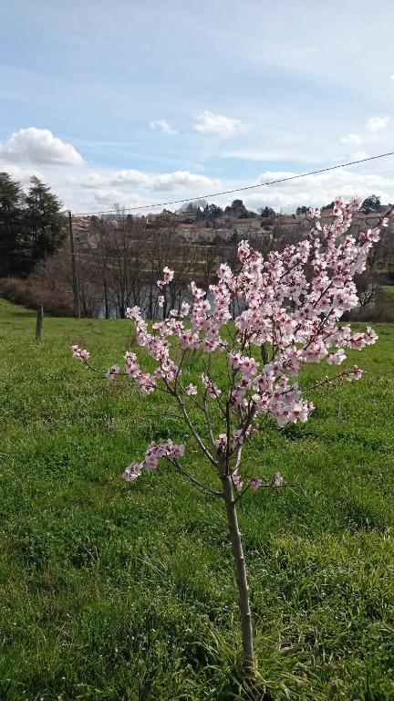 Zahrada ubytování ferme de fenivou