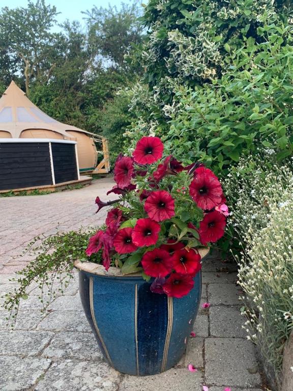 Zahrada ubytování Romantic Luxus Glamping 3