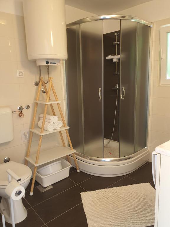 a bathroom with a shower and a toilet at Kuća za odmor Žinžula in Medulin