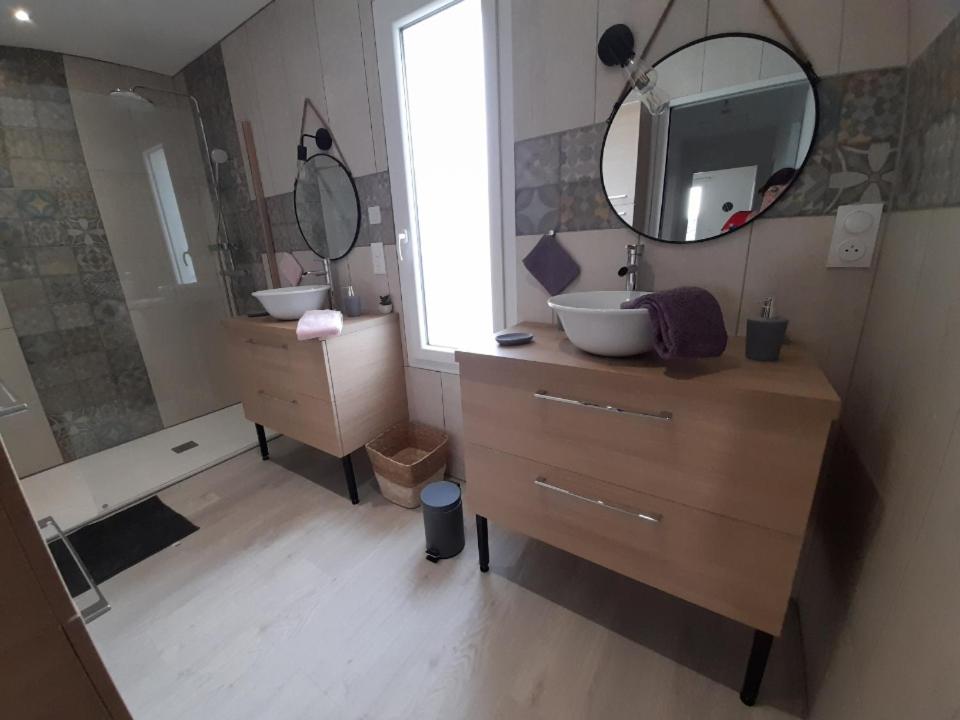 ein Bad mit einem Waschbecken und einem Spiegel in der Unterkunft Gîte le relais du Mardelon in Messemé